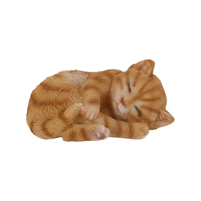 Sleeping Cat S