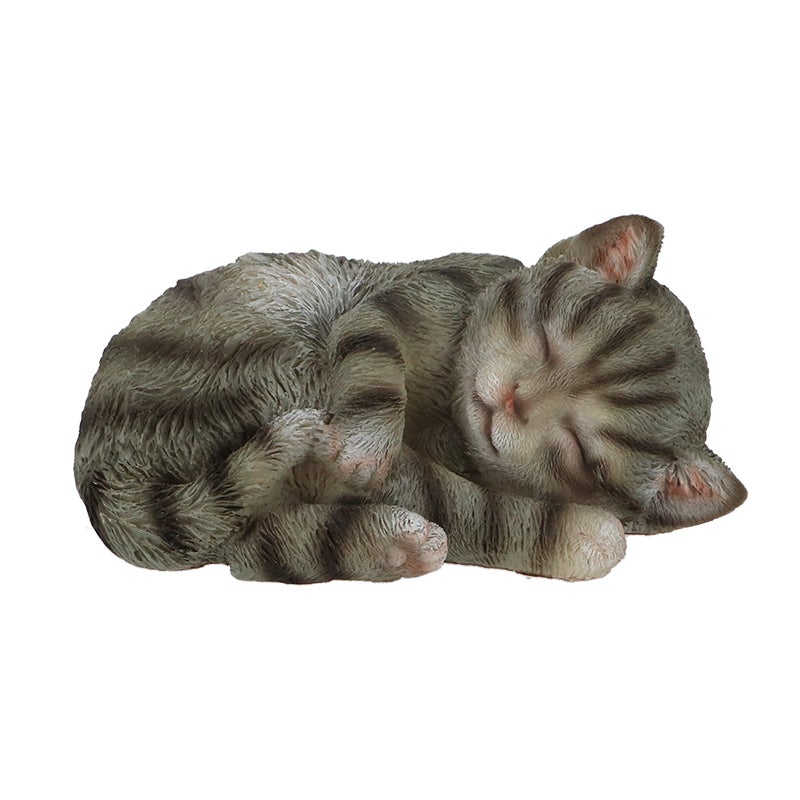 Sleeping Cat S