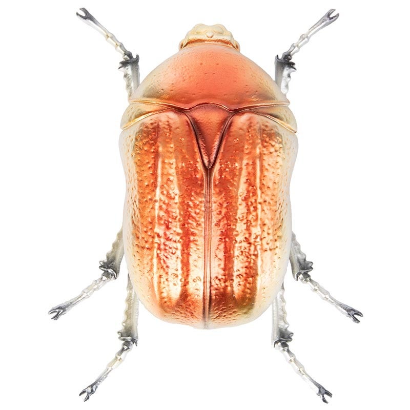 Beatle