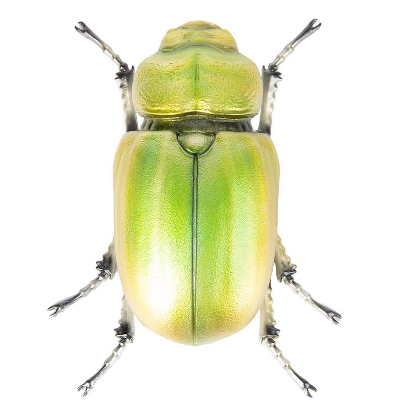 Beatle