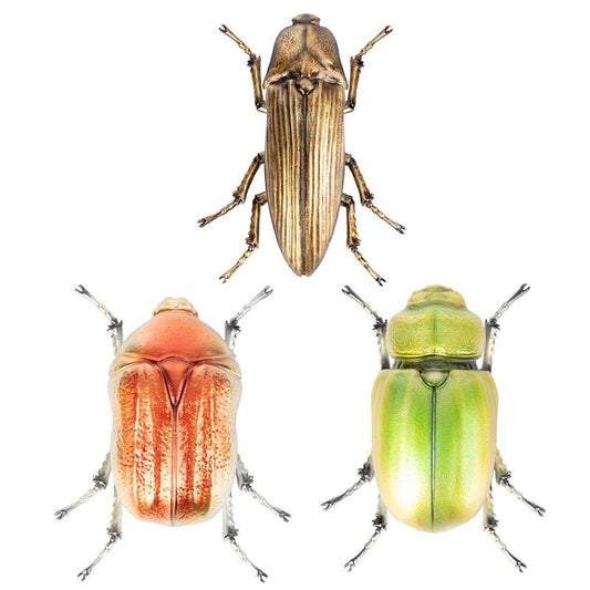 Beatle