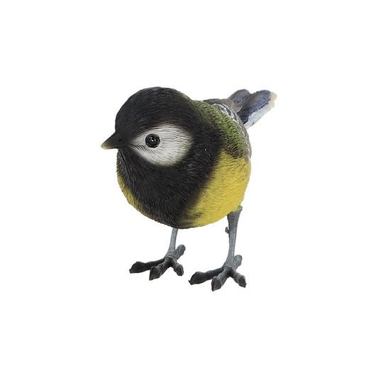 Great Tit
