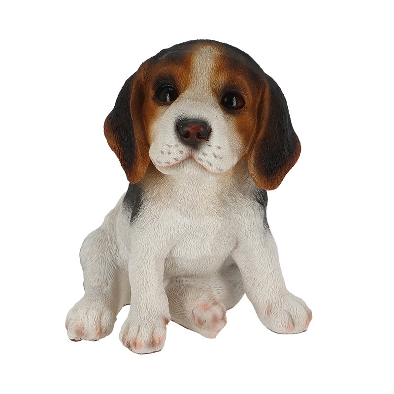 Beagle Pup