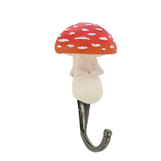 Hook Mushroom ~ Assorted