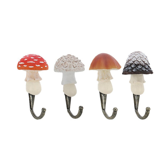 Hook Mushroom ~ Assorted