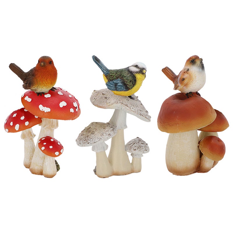Mushroom With Bird S Ass.