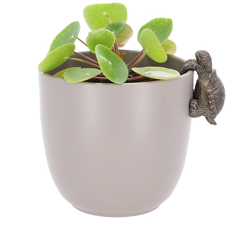 Flower Pot Hanger Turtle
