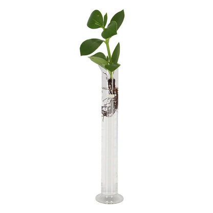 Measuring Cylinder With Base M