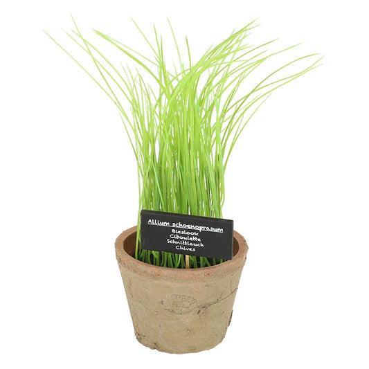 Chives in At Pot L