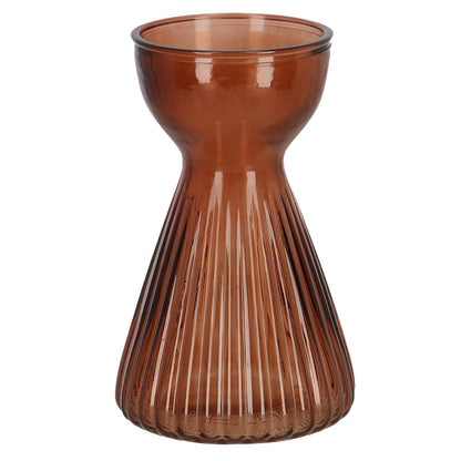 Bulb Vase Ribbed Amaryllis Ass.