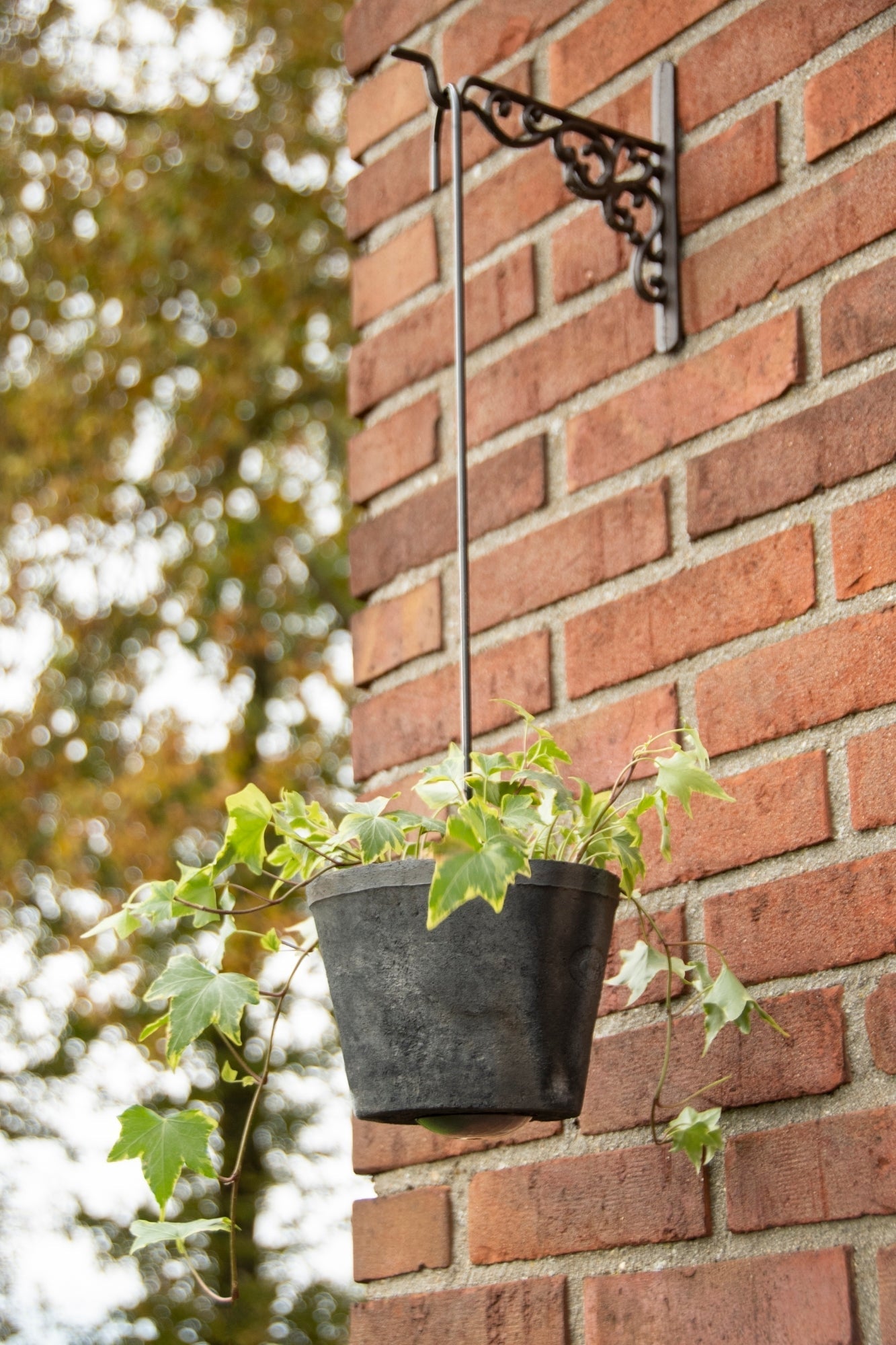 Flower Pot Hook