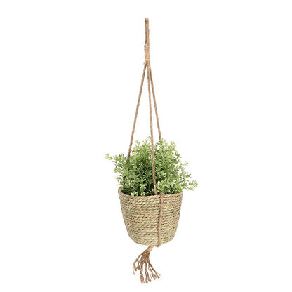 Indoor Hanging Basket ?15cm