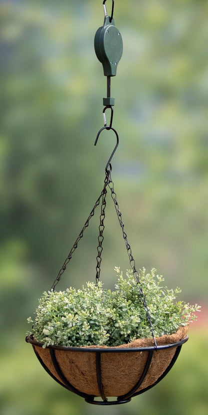 Metal Hanging Basket 12"