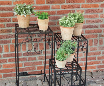 Plants Tables Set of 3