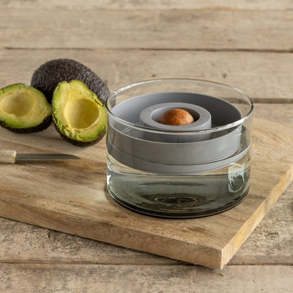 Avocado Grow Set