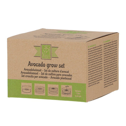 Avocado Grow Set