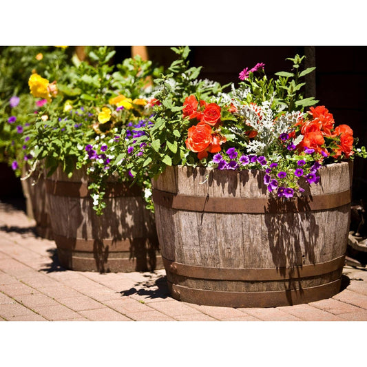 Half Barrel Garden Planter, 17' tall x 28' wide at belly