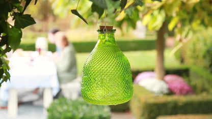 Wasp Trap Hobnail Glass 3 Colours L