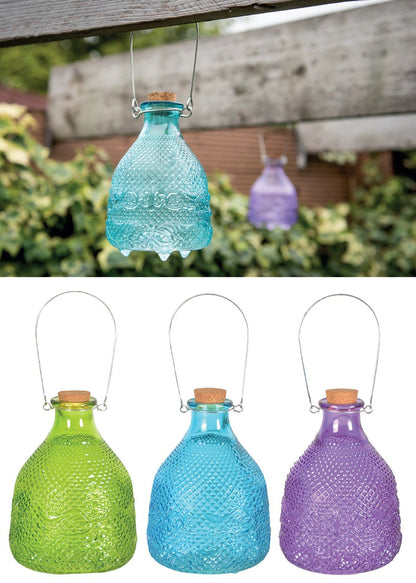 Wasp Trap Hobnail Glass 3 Colours L