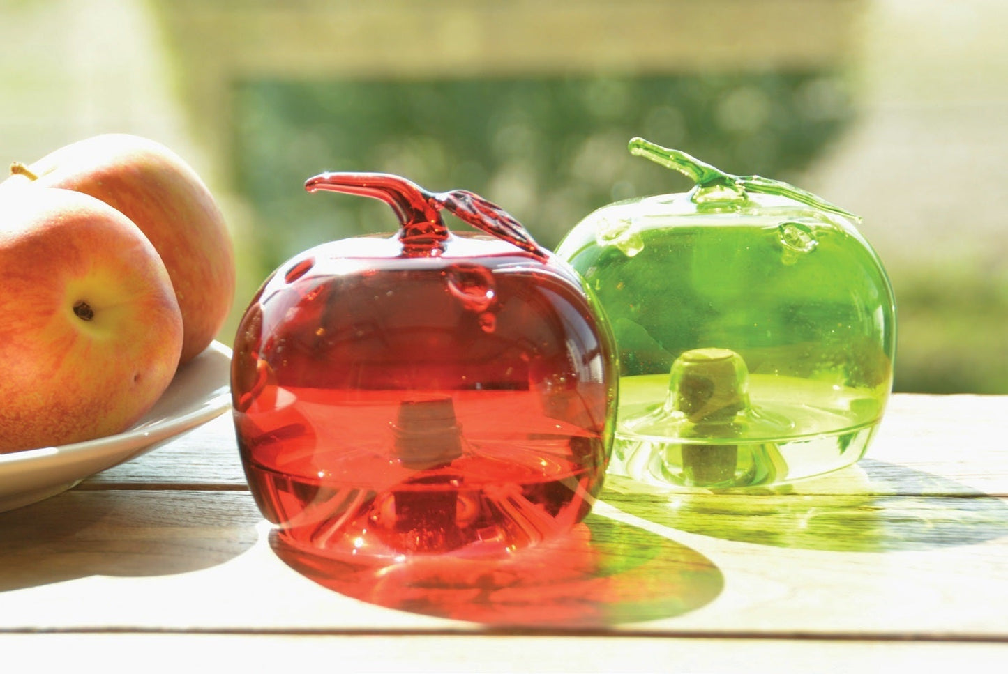 Fruit Fly Trap Apple ~ Assorted