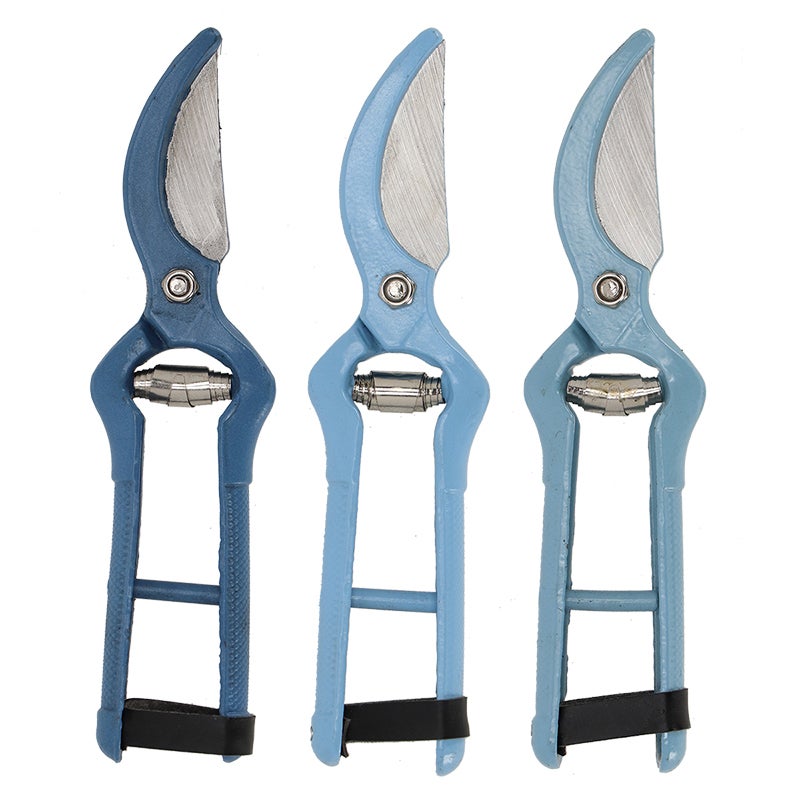 50 Shades of Blue Pruner