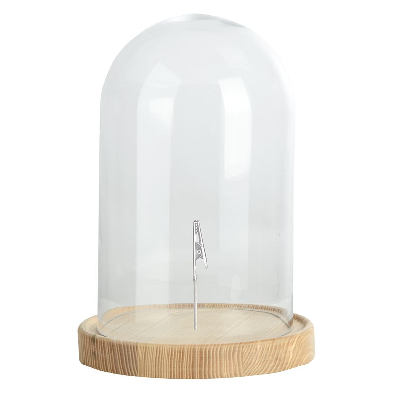 Glass Cloche On Wooden Base L