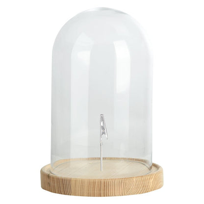 Glass Cloche On Wooden Base L