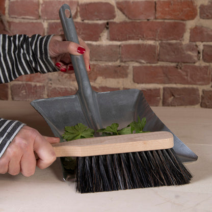 Dustpan And Brush