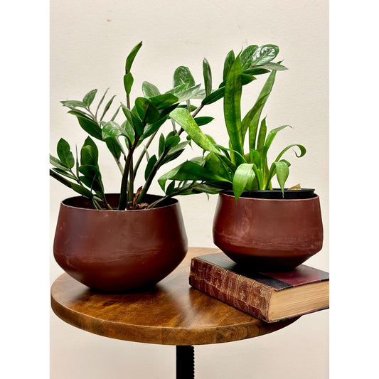 Velda Bowl Set