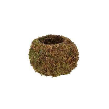 Kokedama Ball S