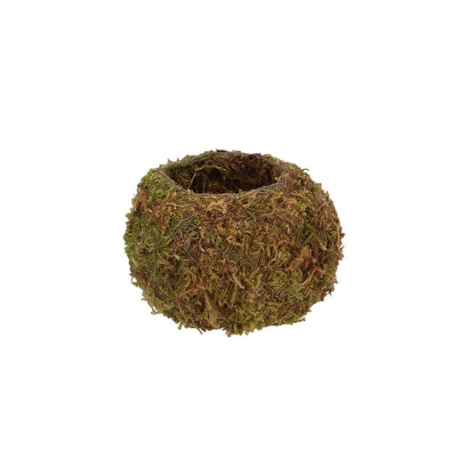 Kokedama Ball S
