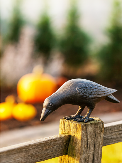 Cast Iron Crow, Head Down, Black
