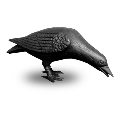 Cast Iron Crow, Head Down, Black