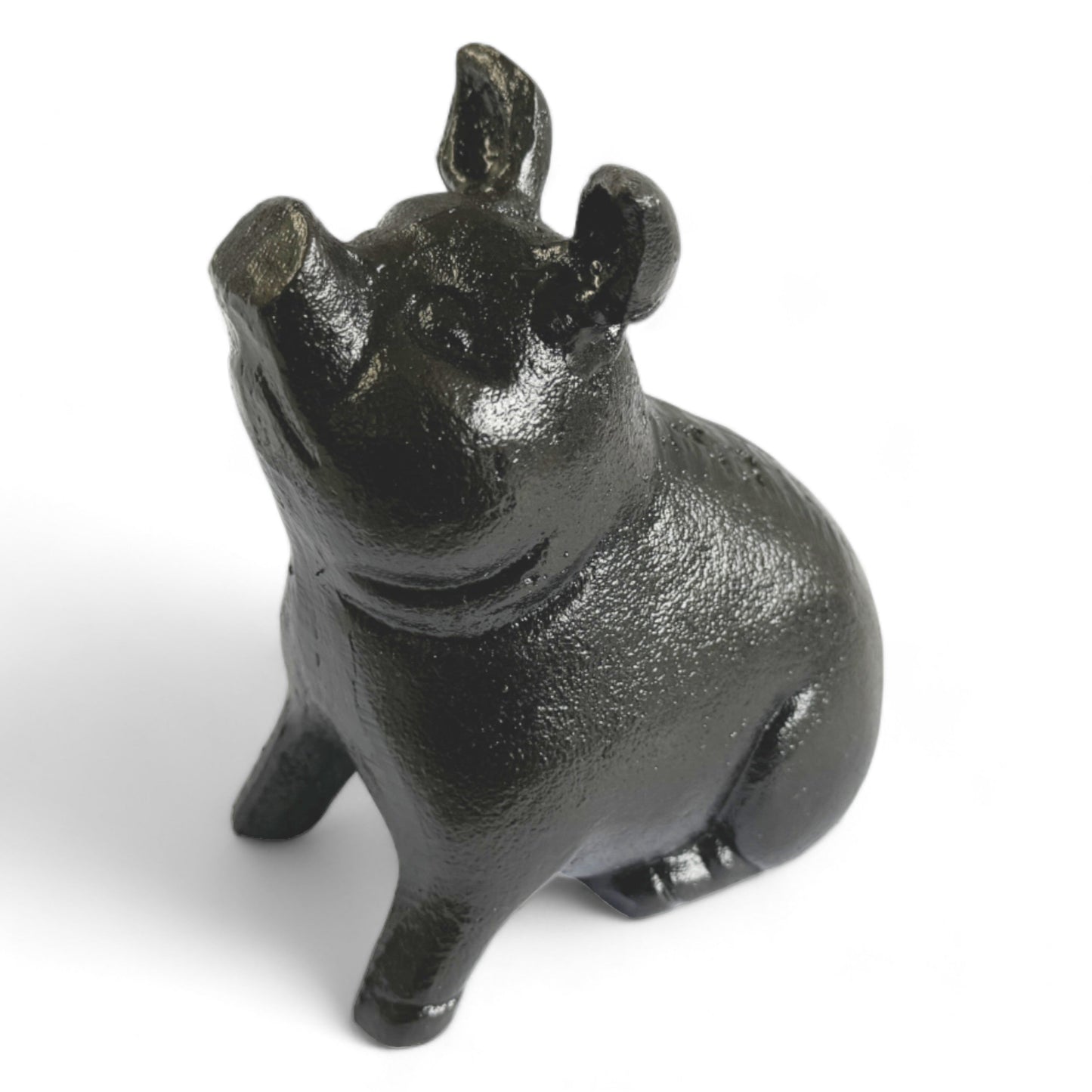 Cast Iron Pig, Head Up