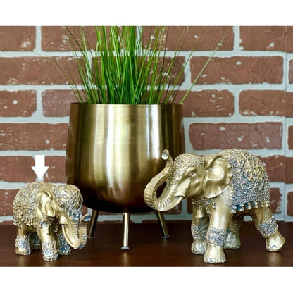 Elephant Polystone Gold, (YVR Showroom)