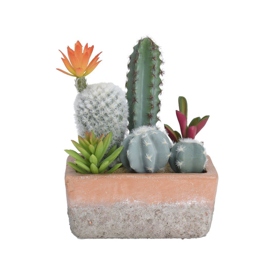 Cactus In Terracota Pot Rectangle