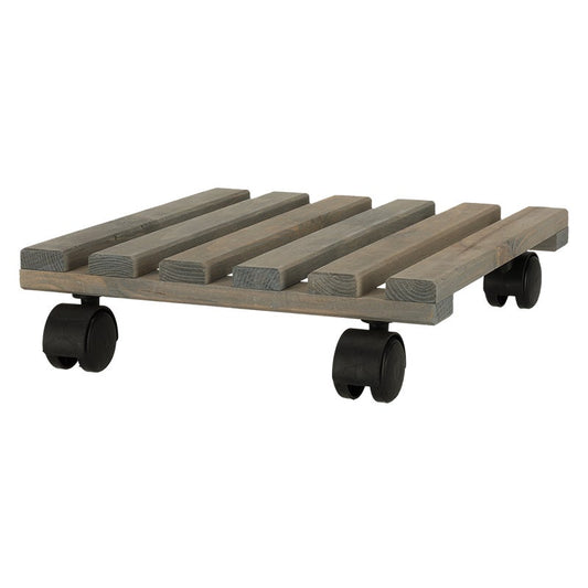 Plant Trolley Square L