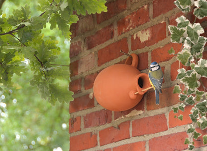 Bird Nesting Bottle Tits/Sparrows