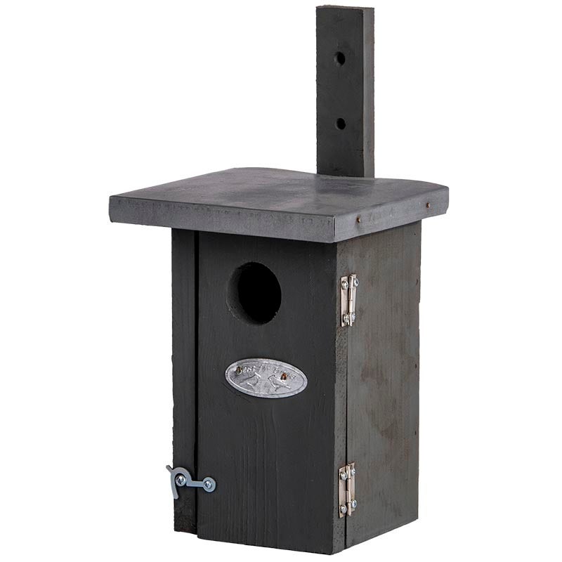 Nest Box Wren Grey