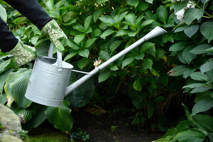 Watering Can With Extra Long Spout