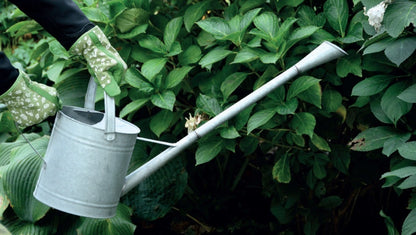 Watering Can With Extra Long Spout