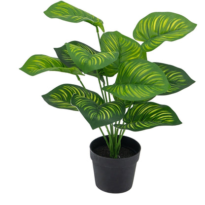 Artificial Calathea Fasciata Plant In Pot