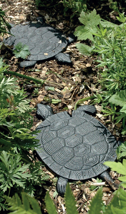 Stepping Stone Turtle