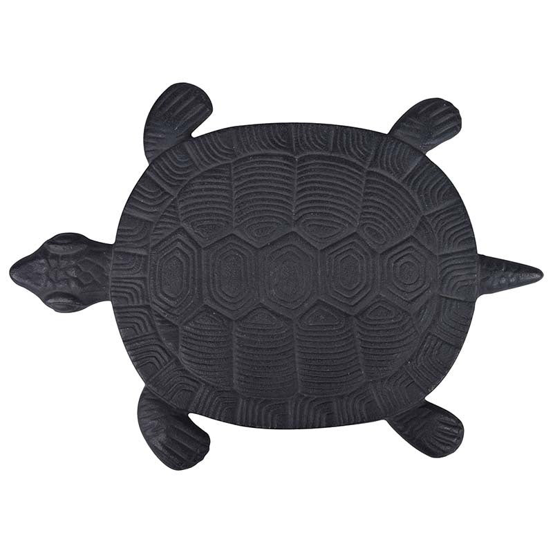 Stepping Stone Turtle