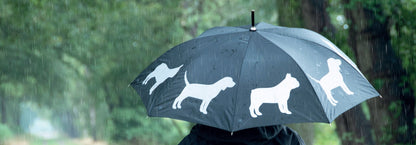 Umbrella Reflector Dogs