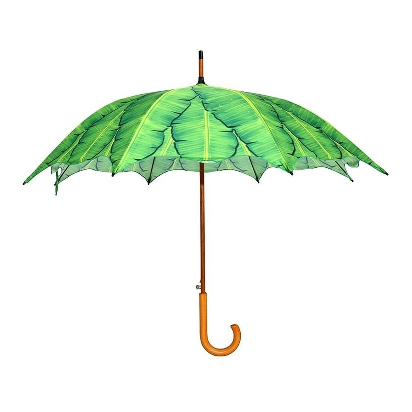 Umbrella Banana Leaves