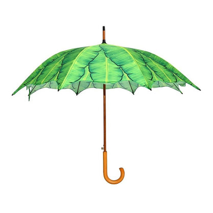 Umbrella Banana Leaves