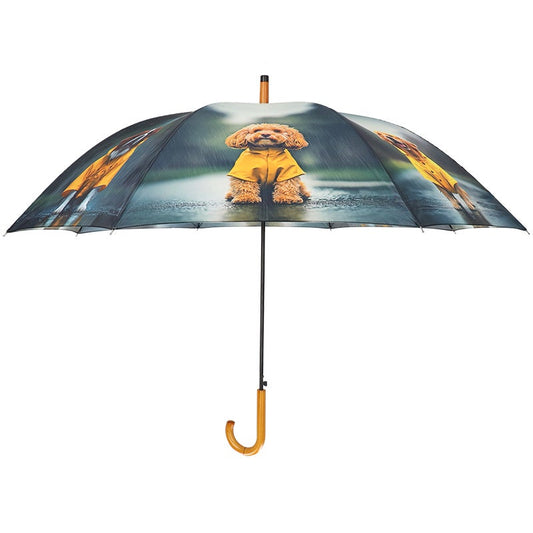 Umbrella  Dogs With Rain Jacket