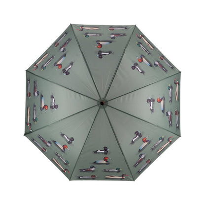 Umbrella Duck Breeds