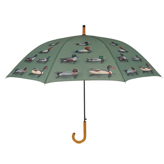 Umbrella Duck Breeds